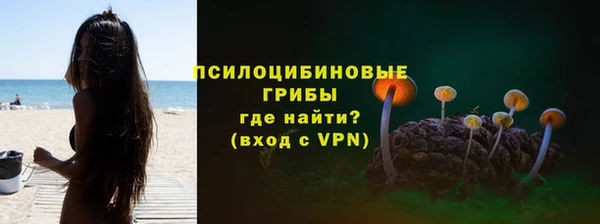 стаф Алексеевка