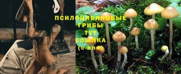 ALPHA PVP Алексин